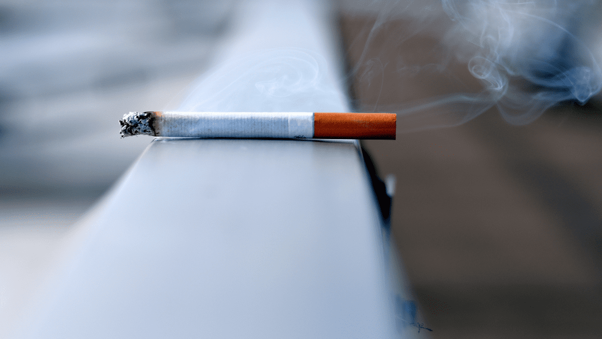 8 Easy Ways to Get Rid of Cigarette Smoke Smell for Good Dengarden