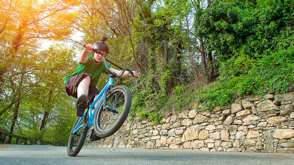 Best bmx bikes under 400 online