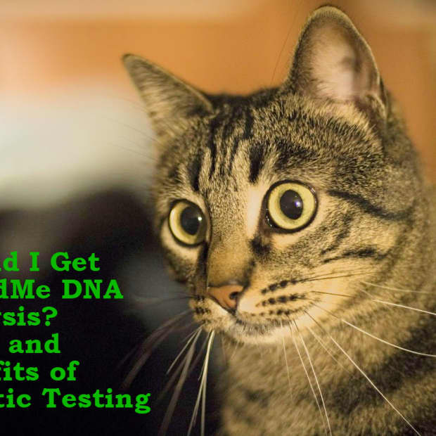 should-i-get-at-home-genetic-testing