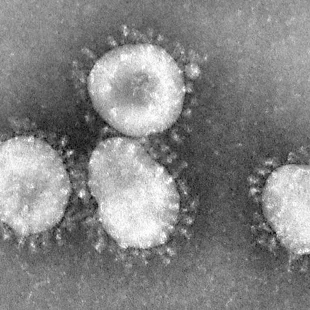 the-coronavirus-health-effects-and-disease