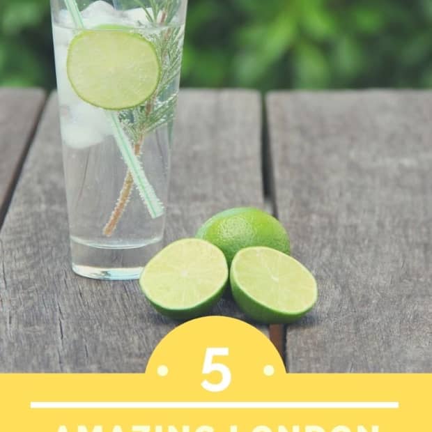 the-5-best-gins-in