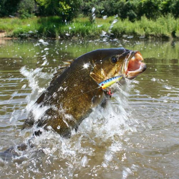 tips-for-river-smallmouth-fishing-without-a-boat