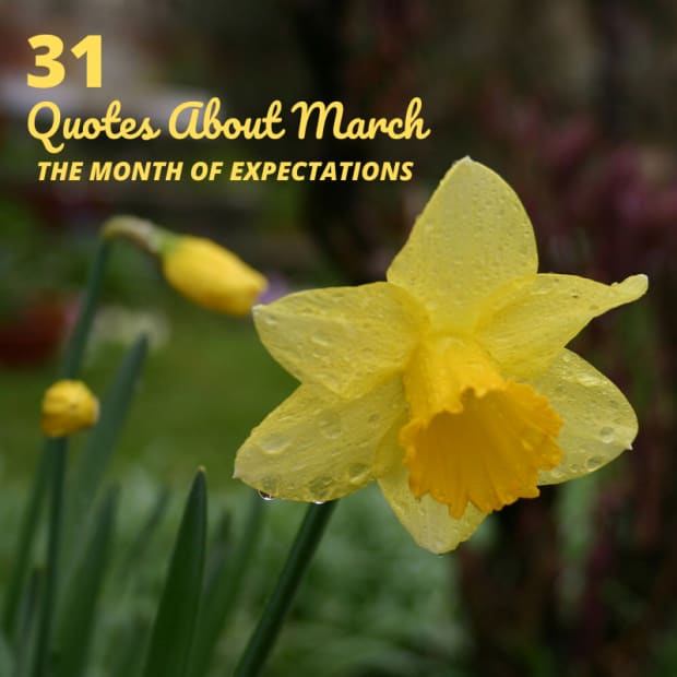 31-quotes-about-march-the-month-of-expectation