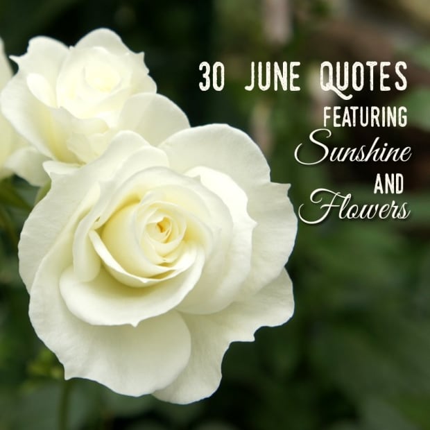 quotes-about-june-sunshine-and-flowers