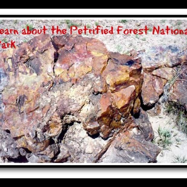 arizona-national-park-petrified-forest-desert-pictures-amazing
