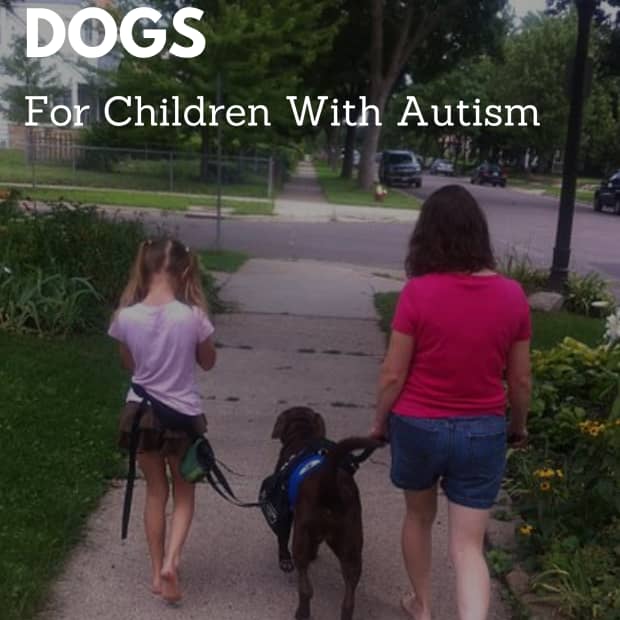 assistance-dogs-for-families-of-children-with-autism-aspergers-syndrome