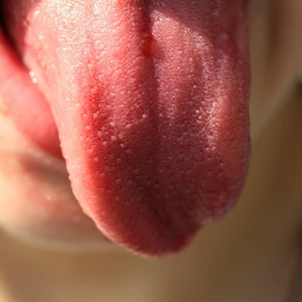 a person's tongue