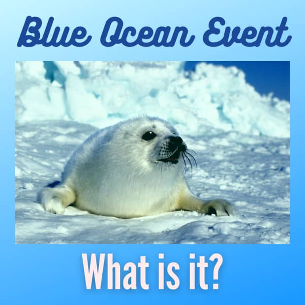 what-is-a-blue-ocean-event-and-how-will-it-impact-global-climate