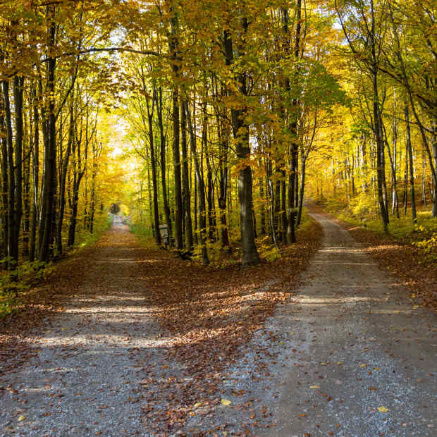 3-tips-on-decisions-making