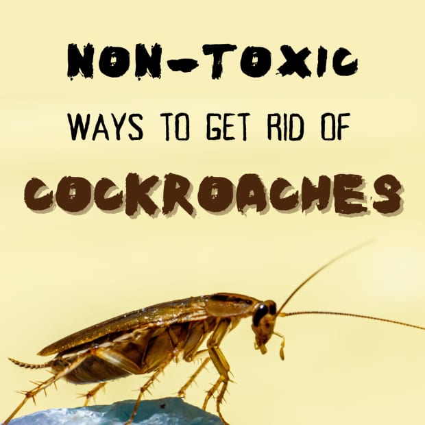 10-non toxic to-pleariminate-to-to-tocrecties