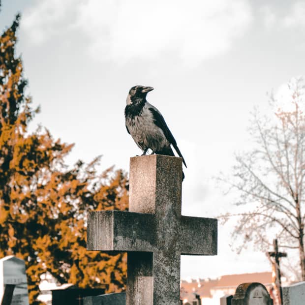 Bird perched atop cross-shaped gravestone in autumn
