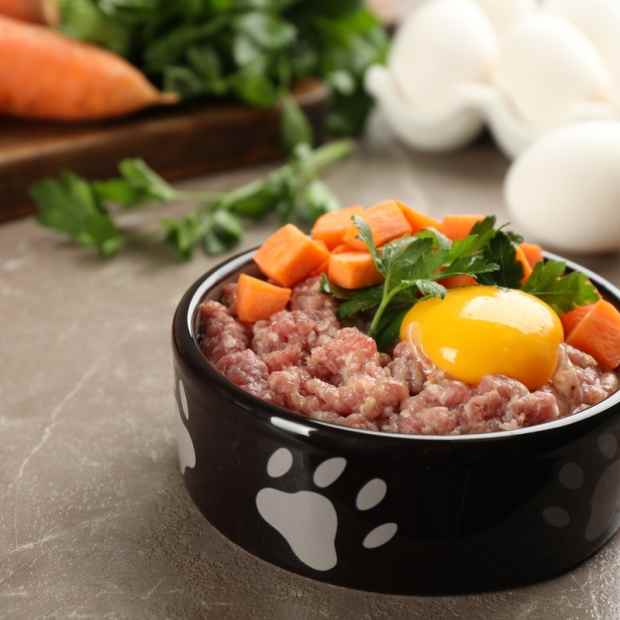 how-to-feed-dogs-raw-food-diet