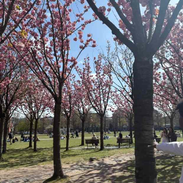 brotha-ill-see-you-again