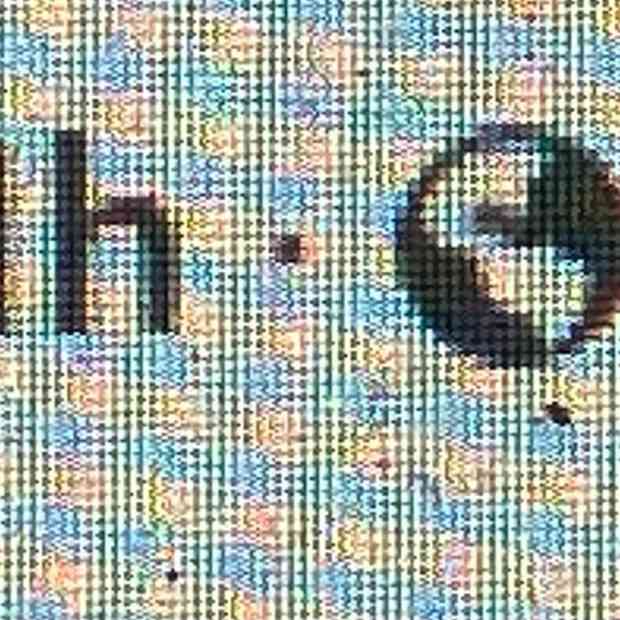 how-to-know-if-a-facebook-post-is-public