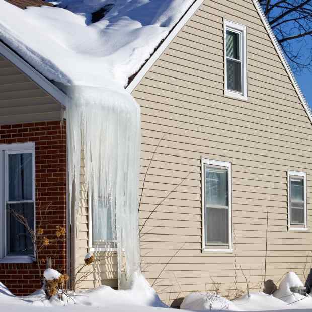 Icicles hang from a large ice dam on an old house to the ground. The ice dam (ice above the gutter) is formed due to poor insulation and or a clogged gutter). As the snow on the roof melts it freezes at the edge, causing the dam and the icicles. This is one reason gutters need to be cleaned and roofs are raked to remove snow.