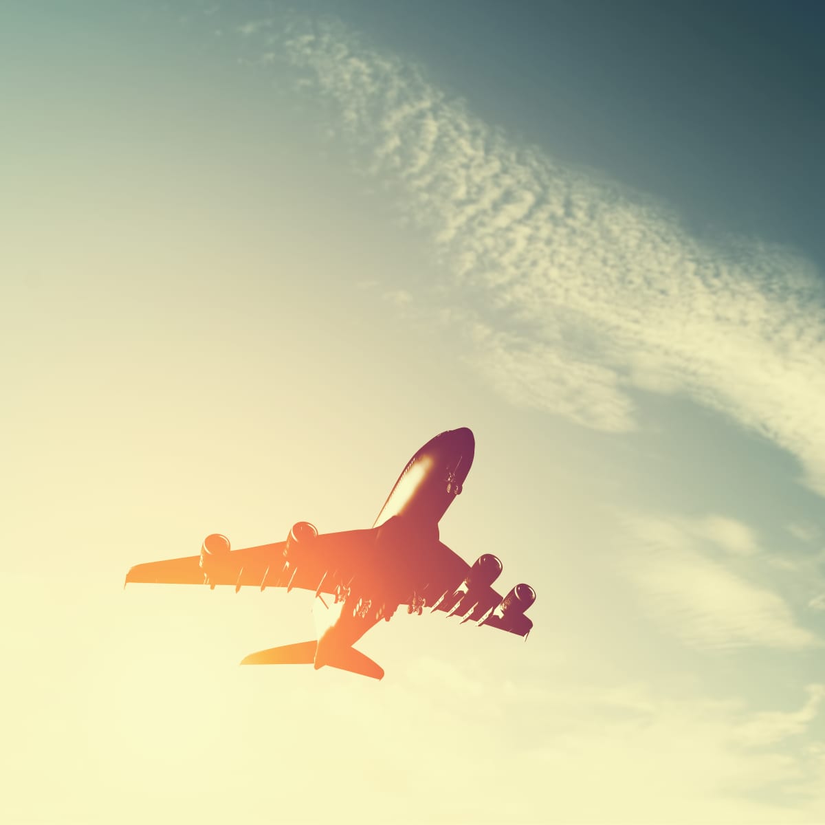 Trtl Travel Flight Compression Socks  For Airplane Traveling – EUTrtlTravel