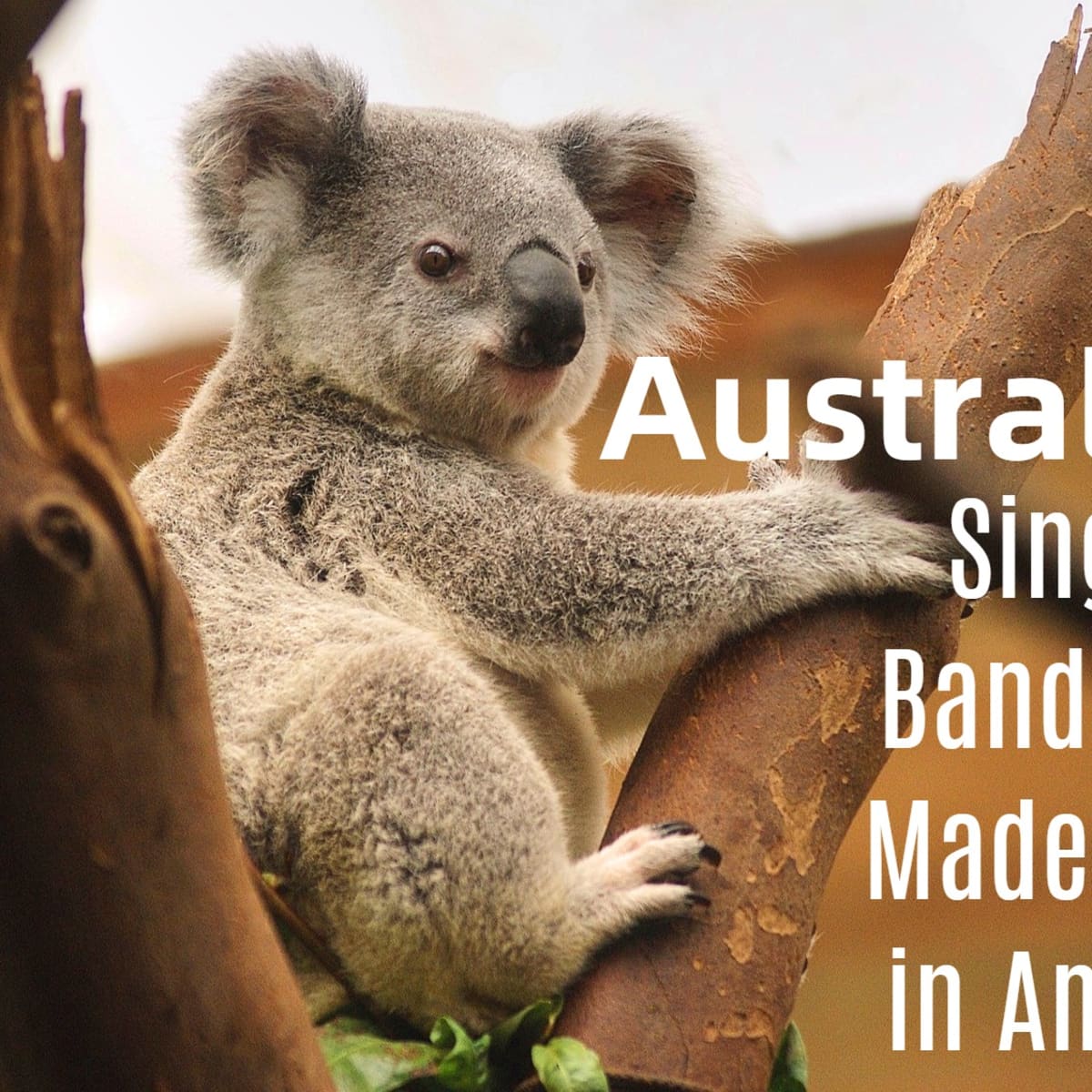 33 Australian Singers and Who Made It Big in America - Spinditty