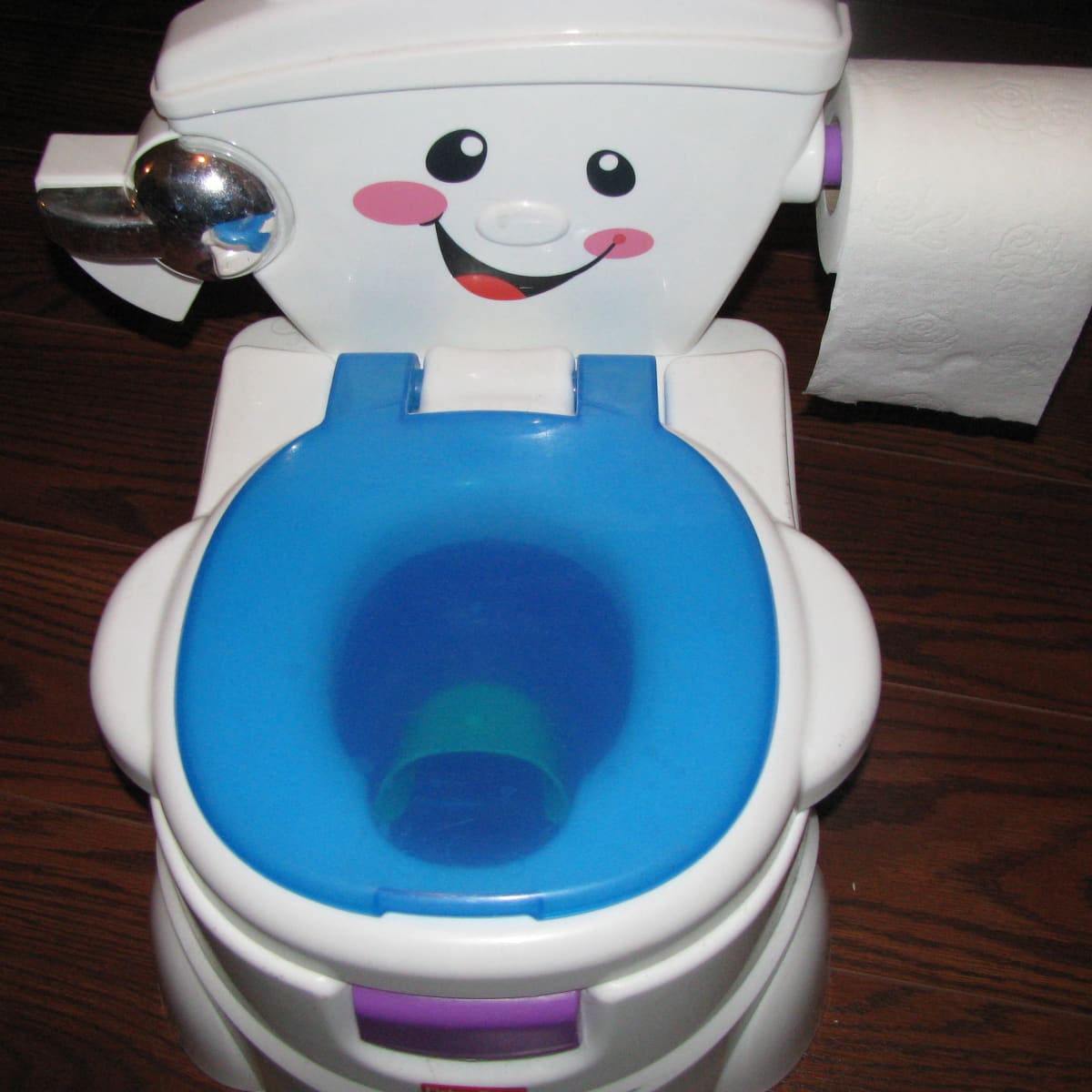 KIDS POTTY CHAIR SEAT BABY TODDLER TRAINING CHILDREN REMOVABLE TOILET SEAT PRO U 
