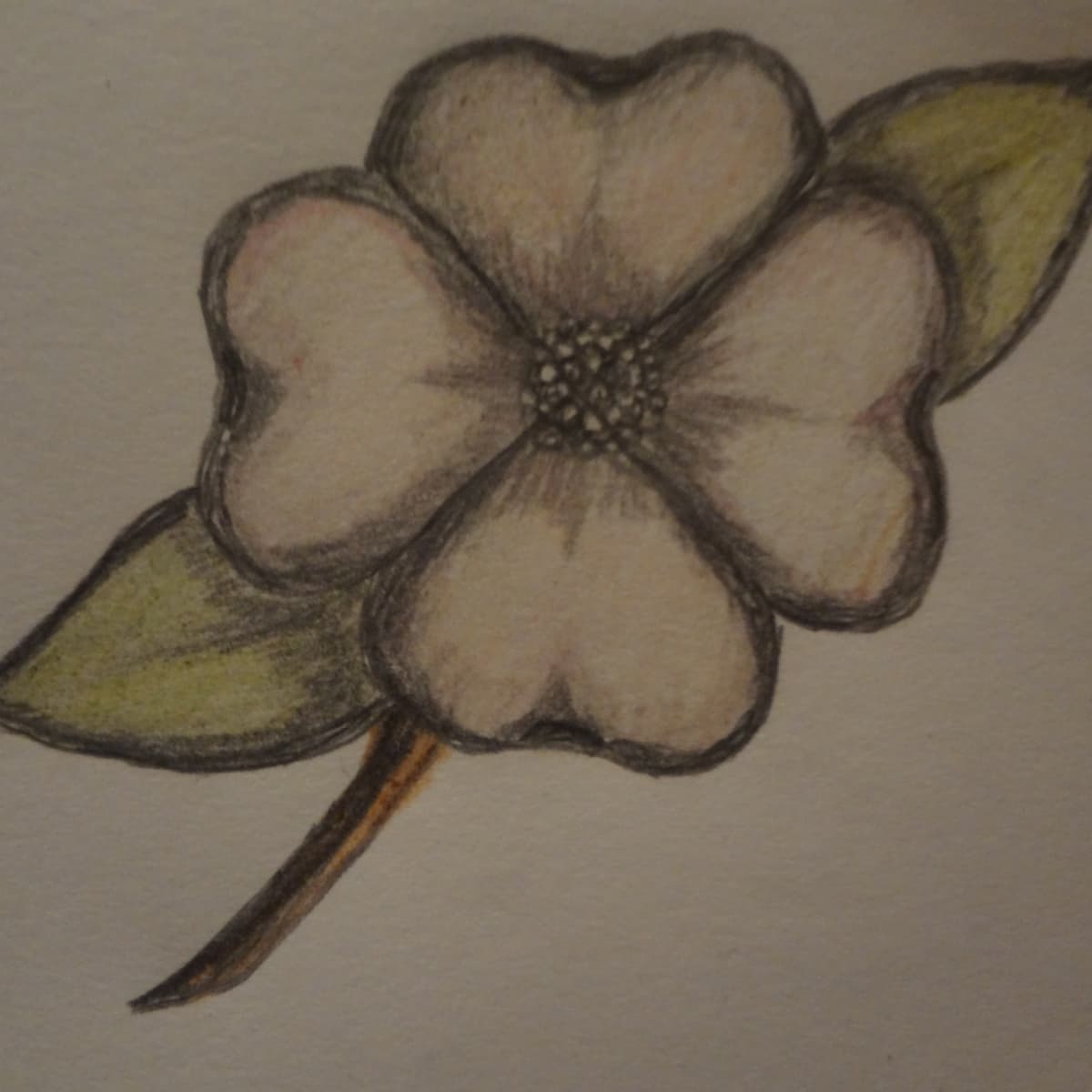 how to draw a flower