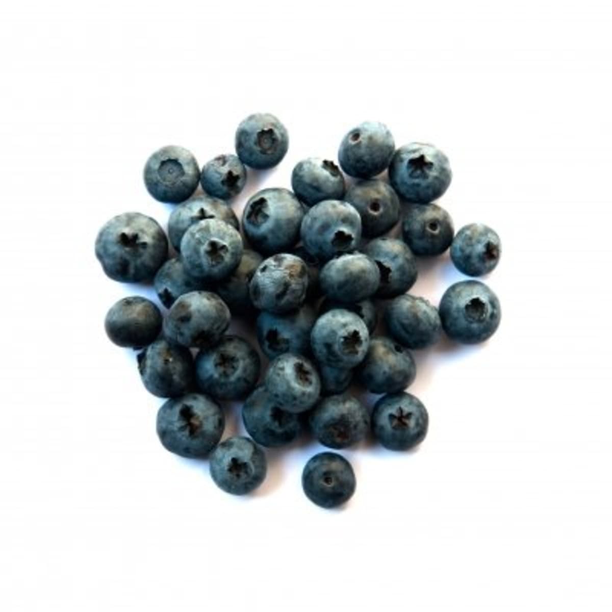 Exploring the Nutritional Benefits of Jumbo Blueberries in