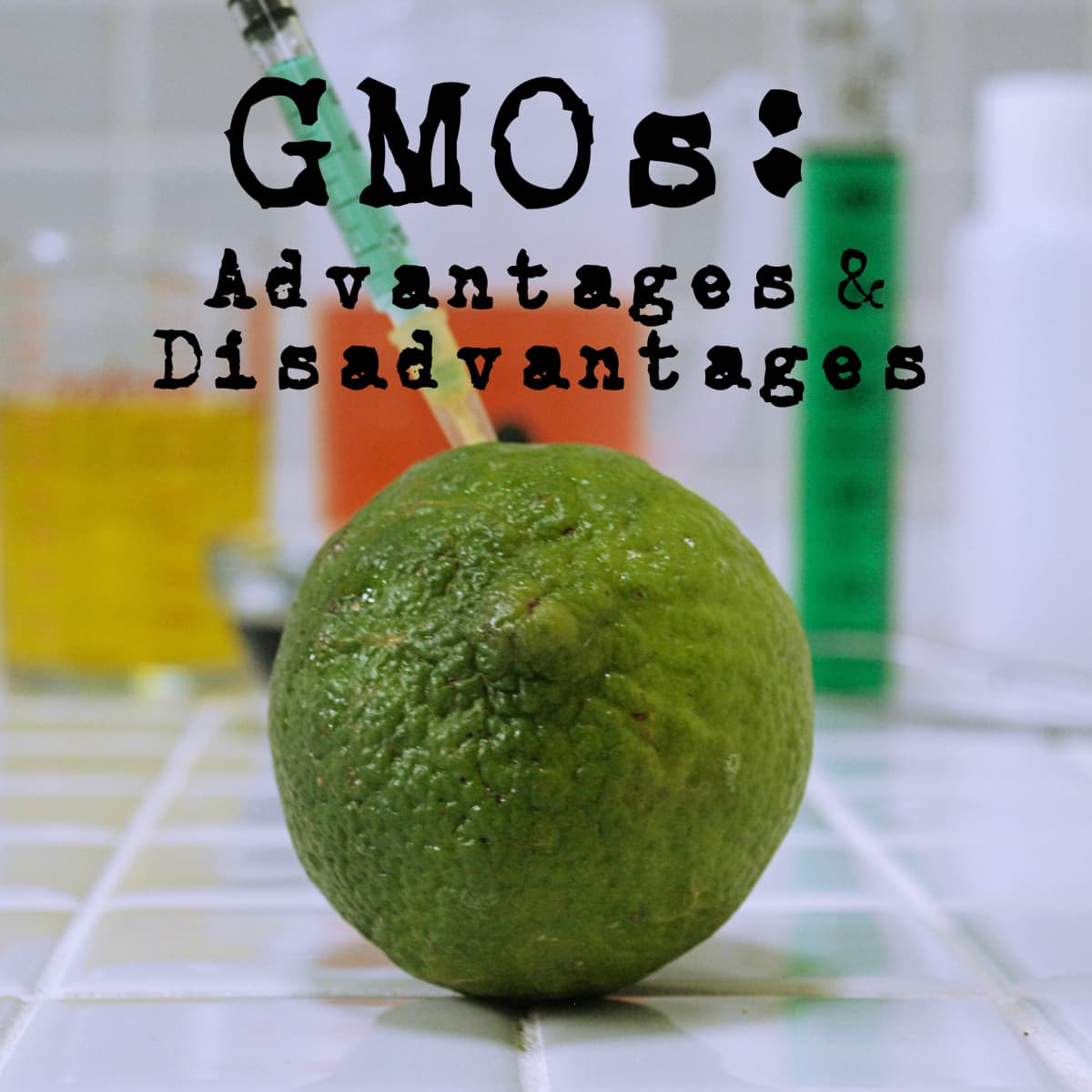 advantages and disadvantages of gmo