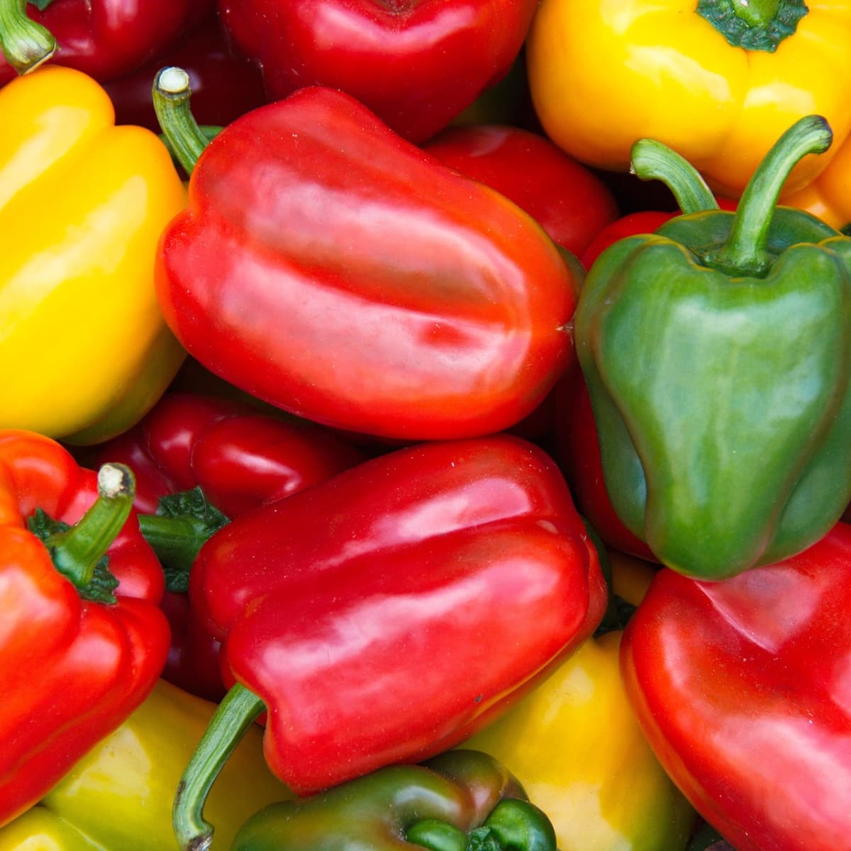 Bell Peppers Do The Different Colors Taste Any Different Delishably