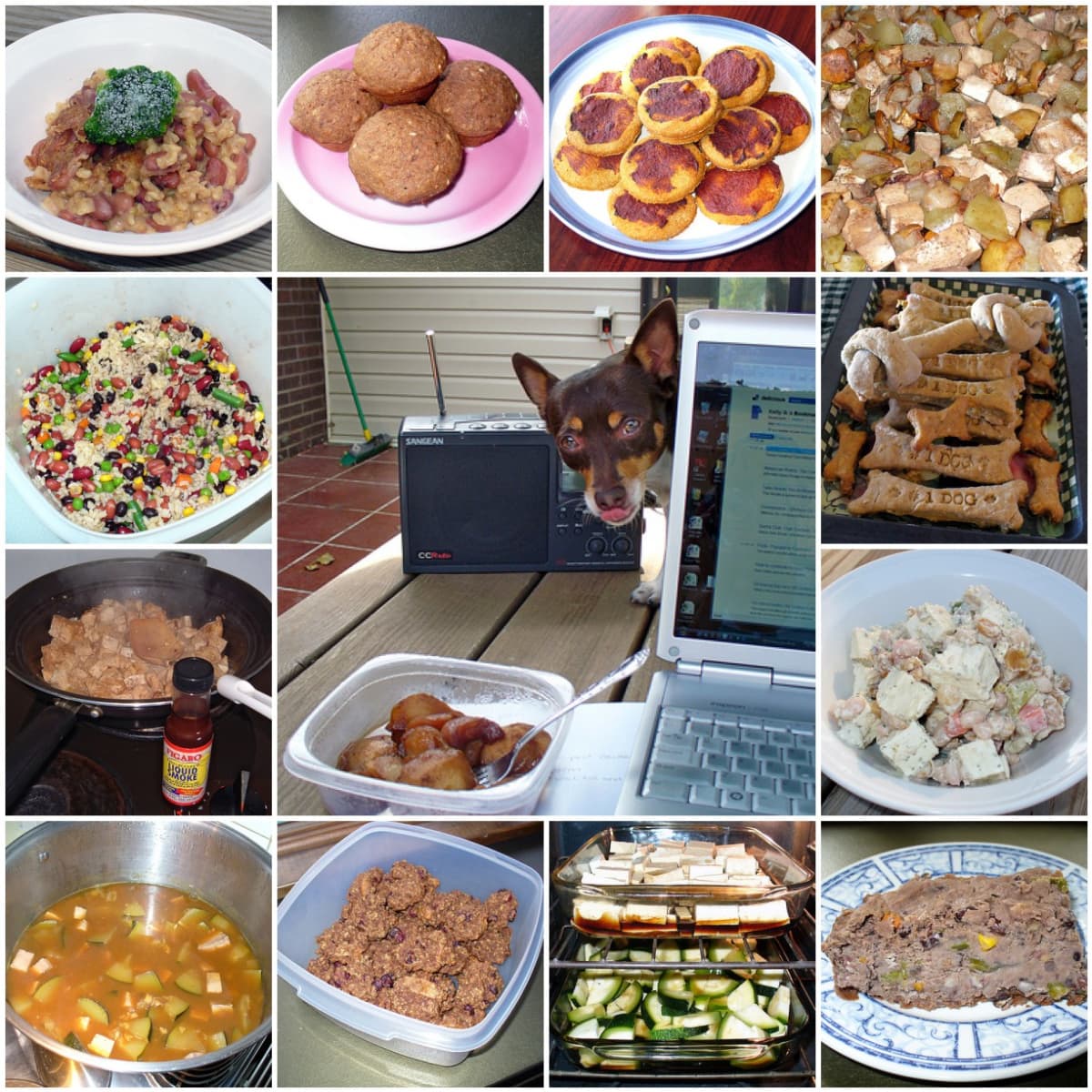 A Place to Swap Information, Recipes and Pics of Homemade Dog Food!