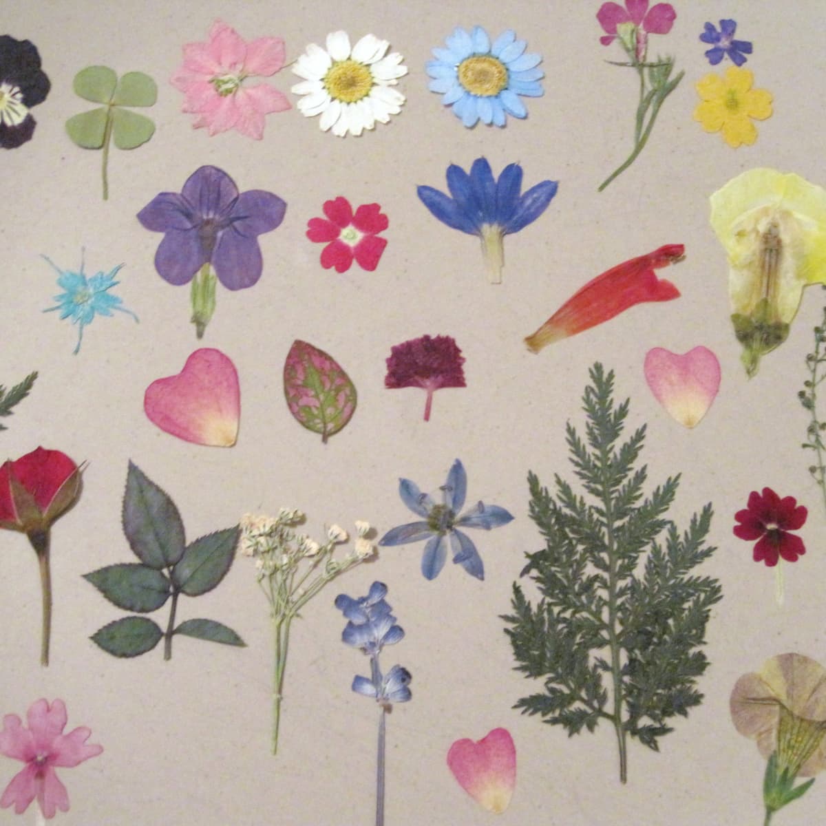 9 Creative Project Ideas for Pressed Flowers  Pressed flower crafts, Flower  crafts, Pressed flower art