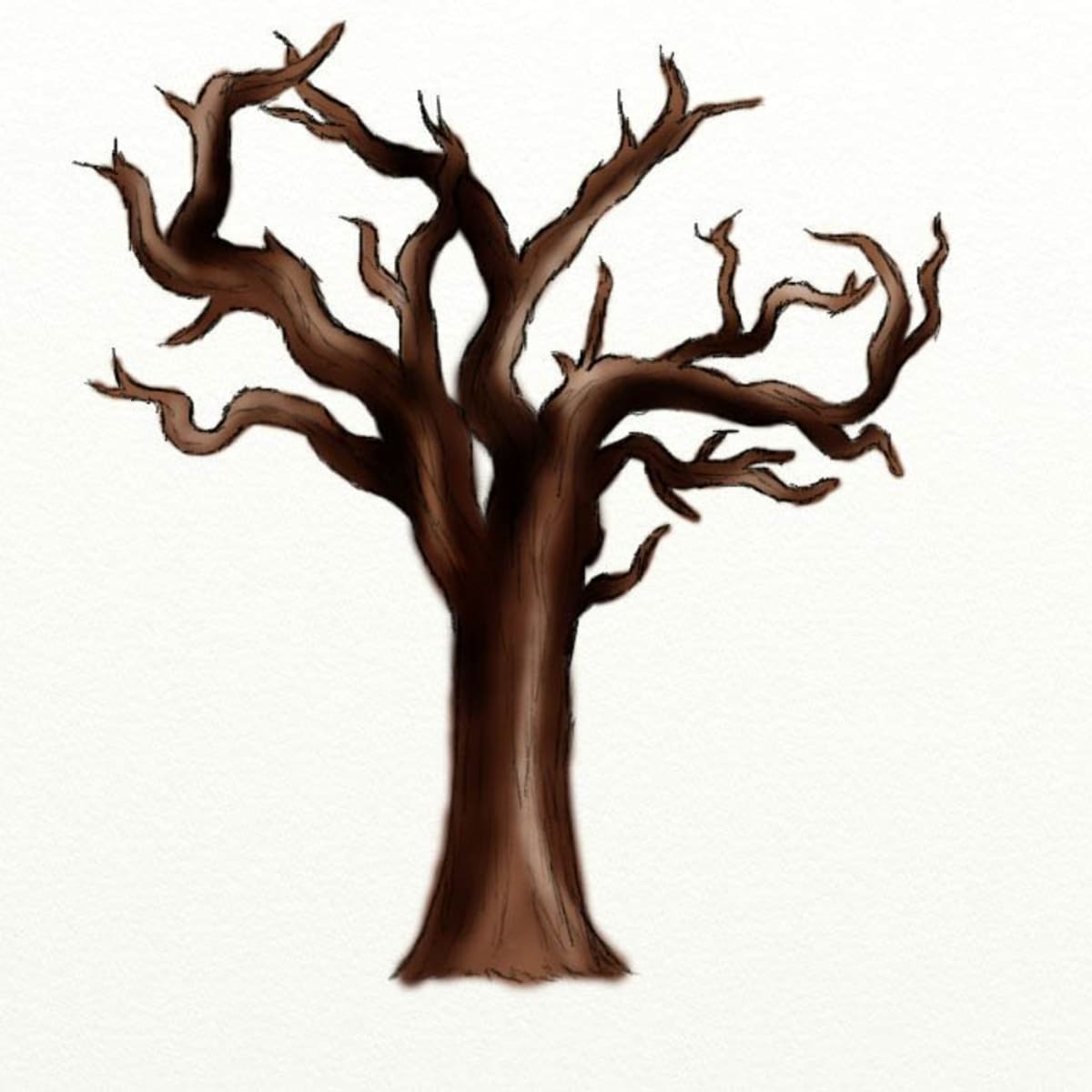 6 Tree Branch Drawing (PNG Transparent) | OnlyGFX.com