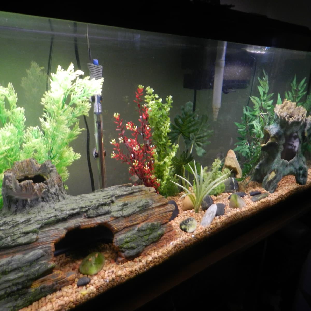 How to Clean a Dirty Fish Tank the Right Way