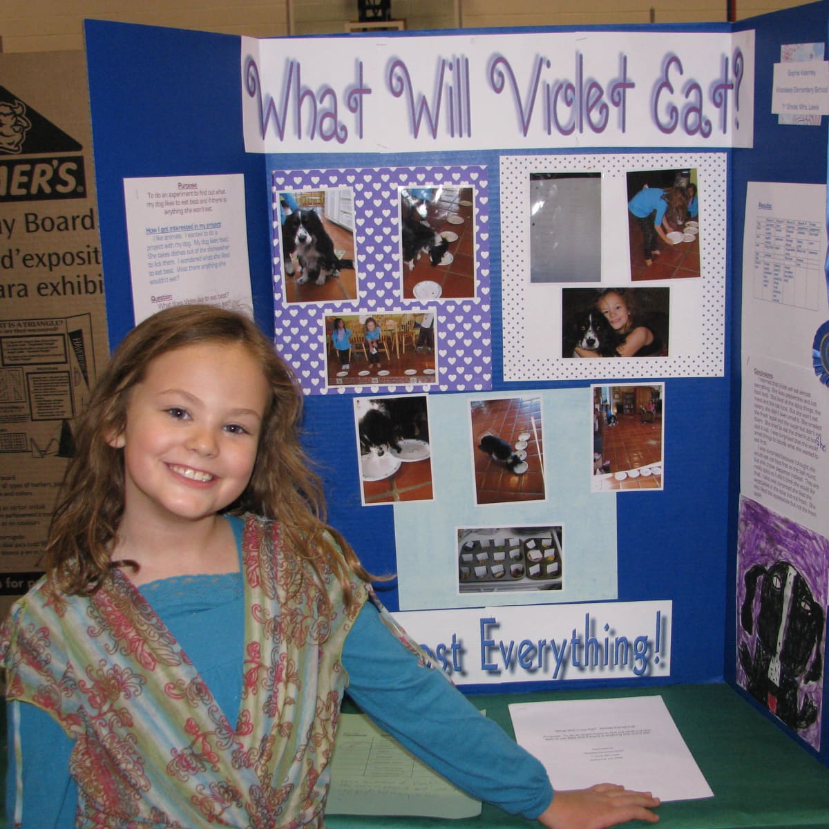 science fair poster board examples
