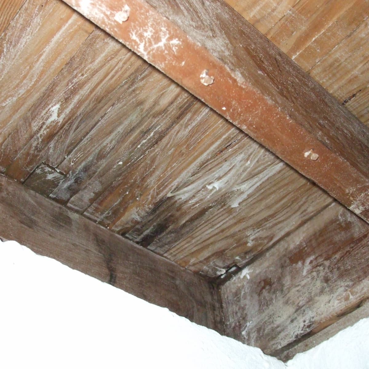 Mold Infestation On Wood With Borax, Mold On Hardwood Floor