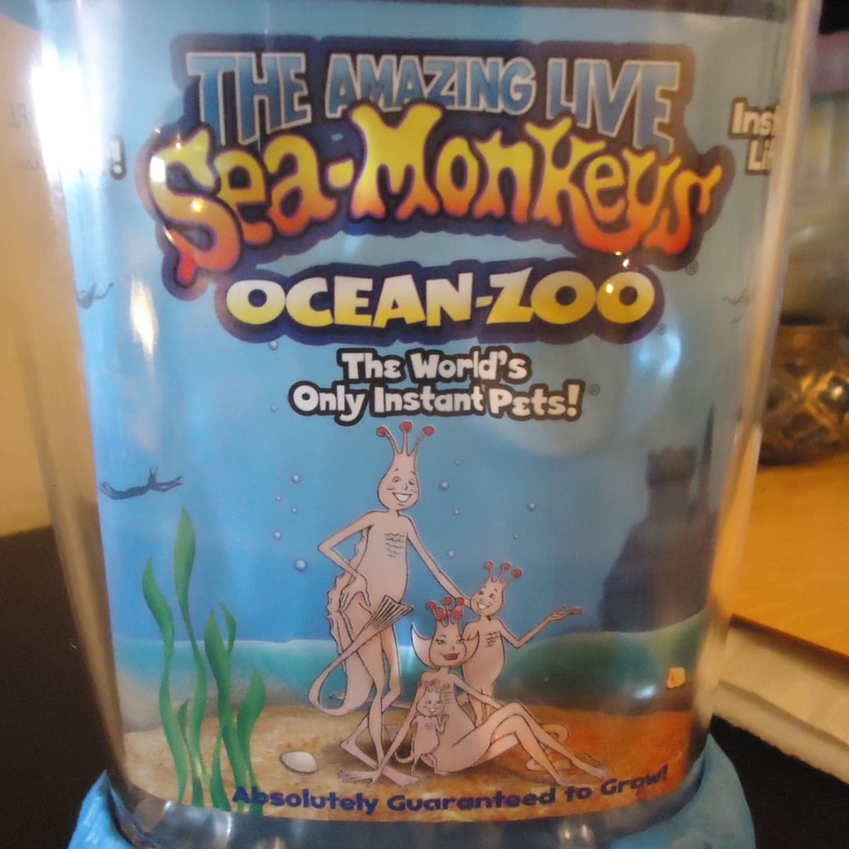 How to Make Sea Monkey Water Purifier 