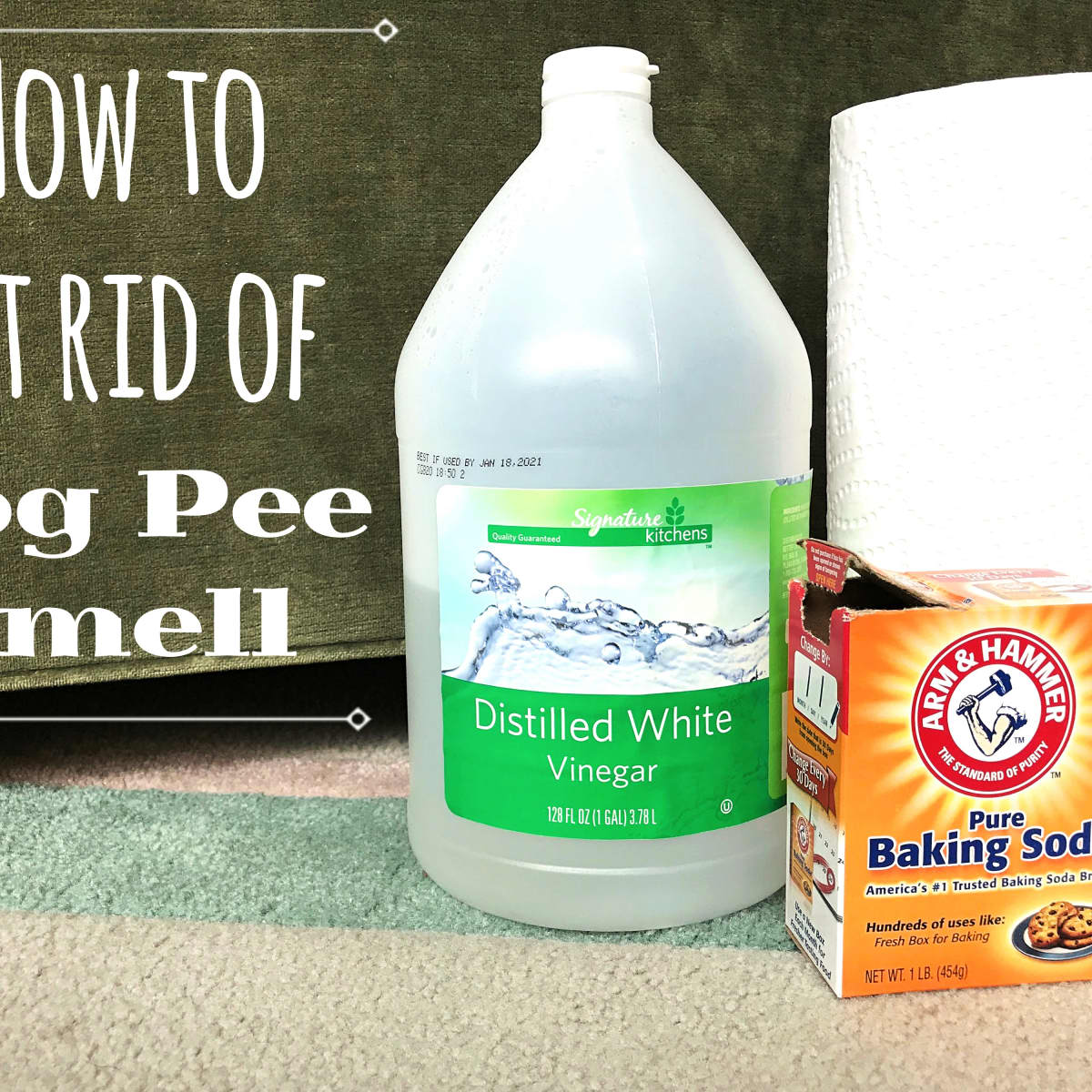Odor Of Dog Urine From Carpets, Getting Rid Of Pet Odor On Hardwood Floors