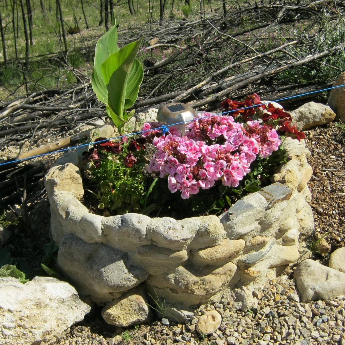 Top 7 Reasons To Rethink Stone Planters