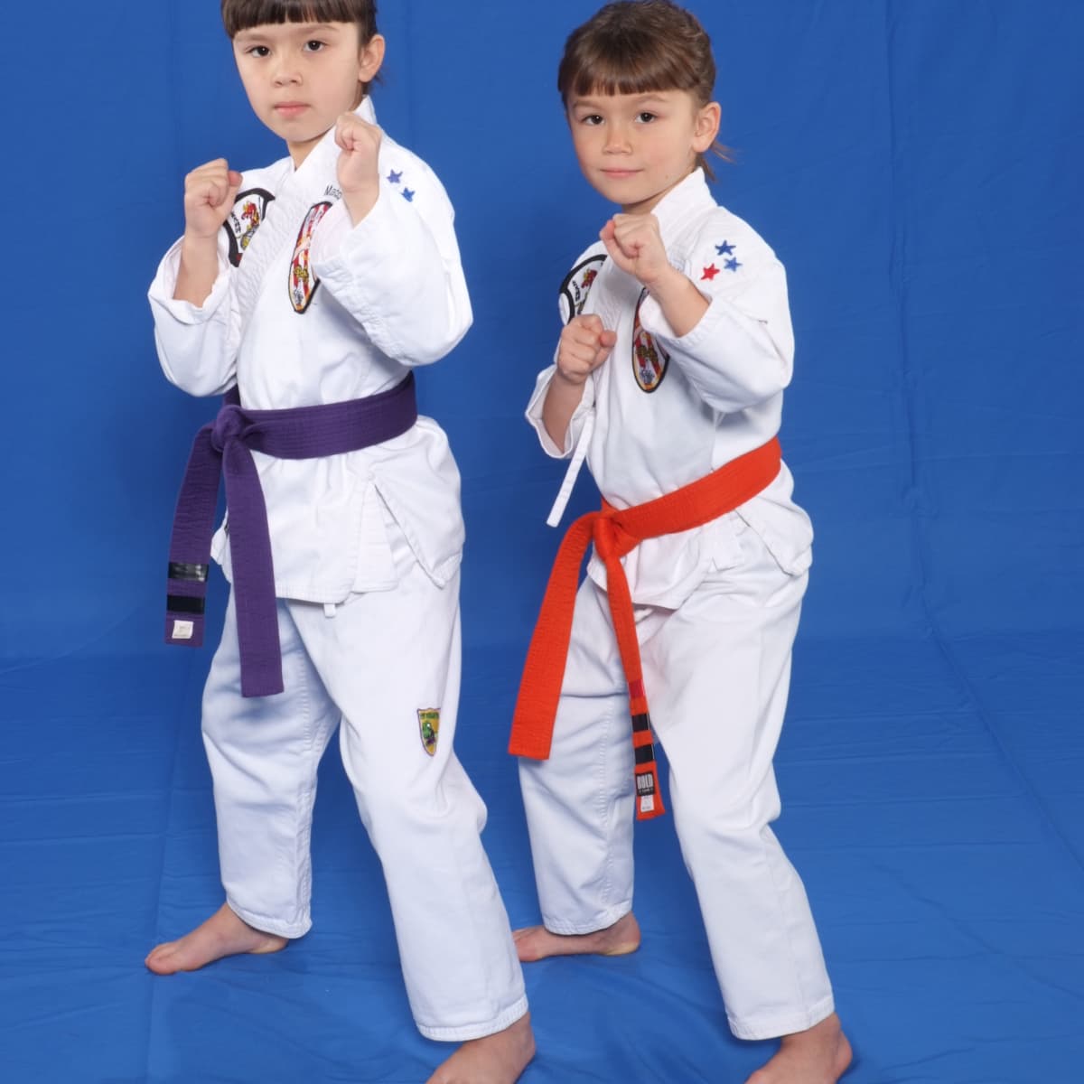 Wrok Gevlekt Lot 16 Karate Games for Kids - HowTheyPlay