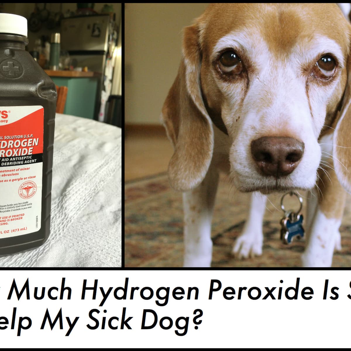 hydrogen peroxide fizzes when applied to a wound