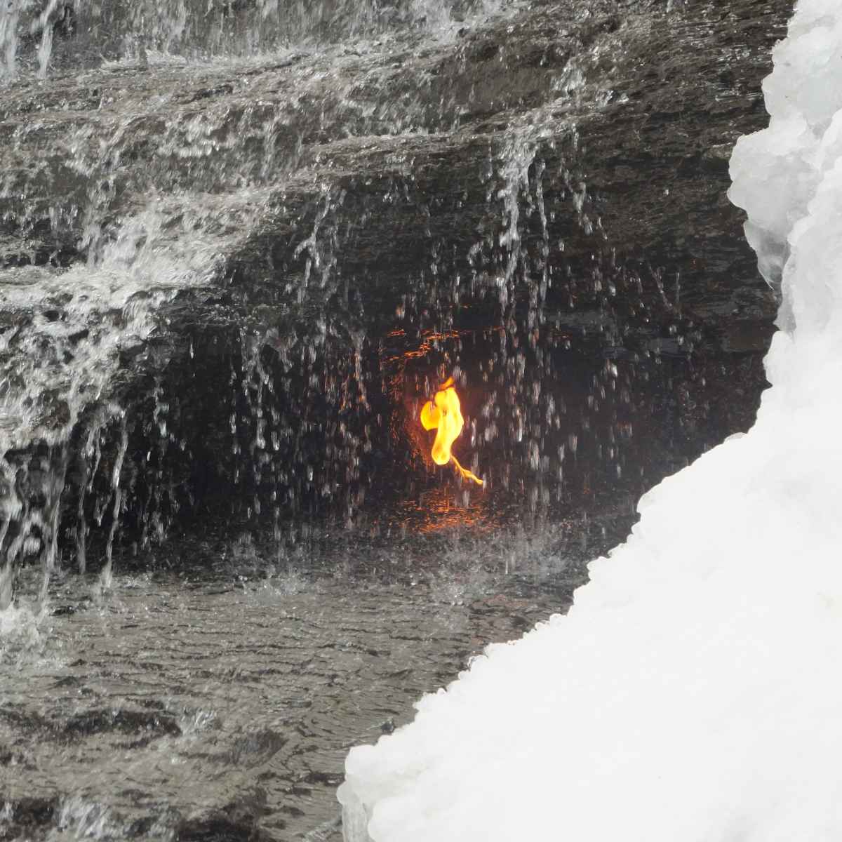 Chestnut Ridge Hiking Trails Hiking Trail To The Eternal Flame Falls At Chestnut Ridge Park - Skyaboveus