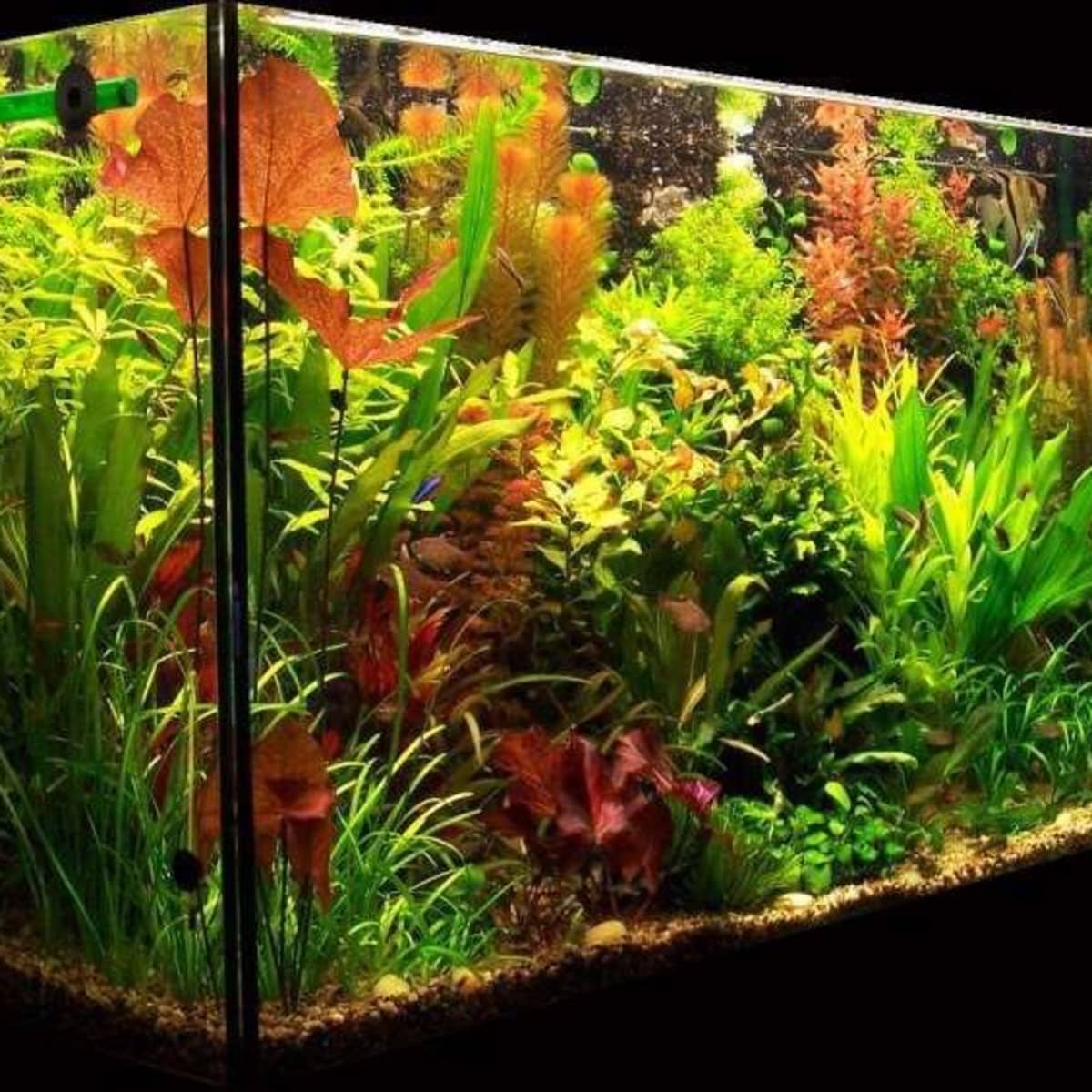 Carefree Fish 1.2Gallon Fish Tank Office USB Small Betta Aquarium LED Light  with Filter No