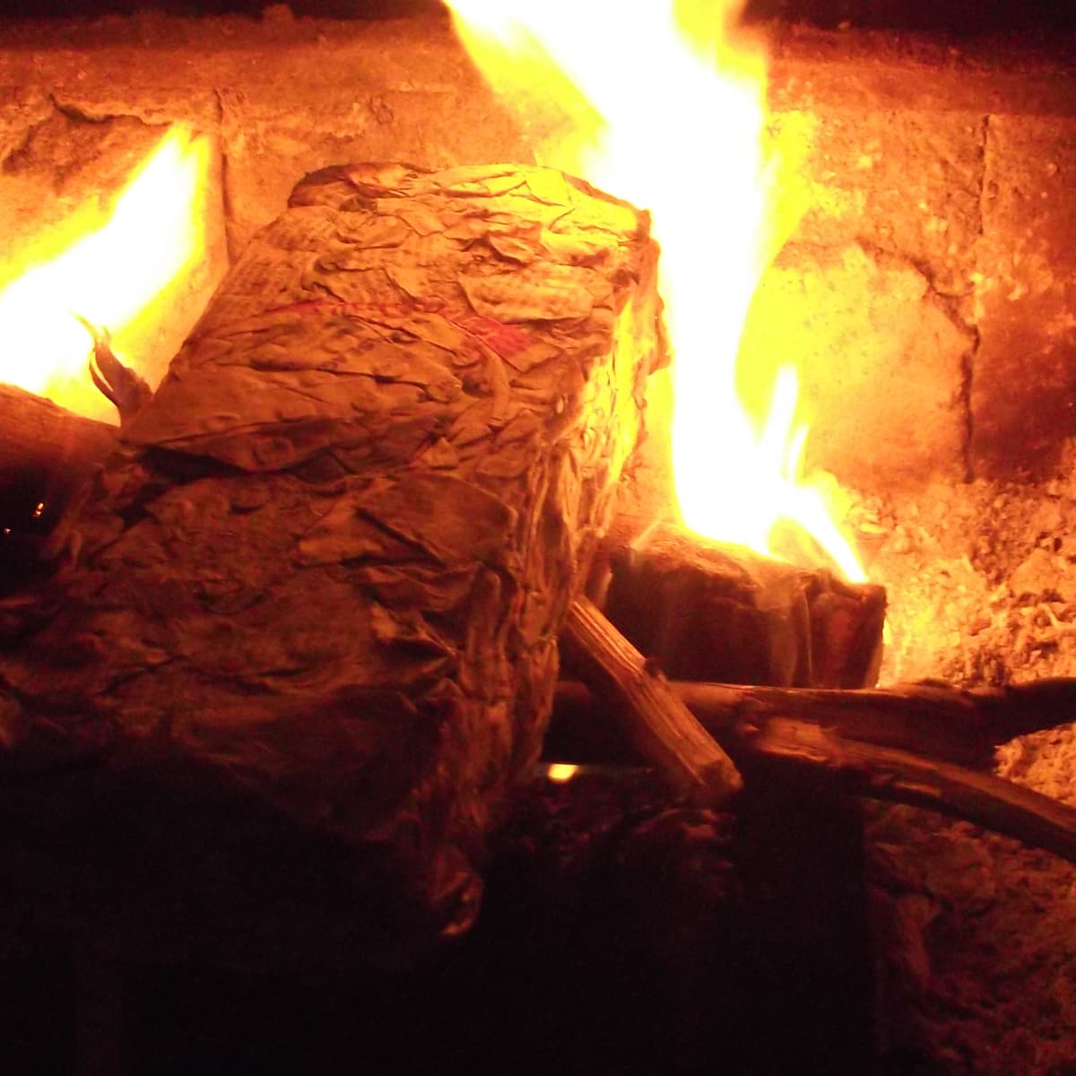 Does a Wood Stove Need Fire Brick? - Woodsy Acres