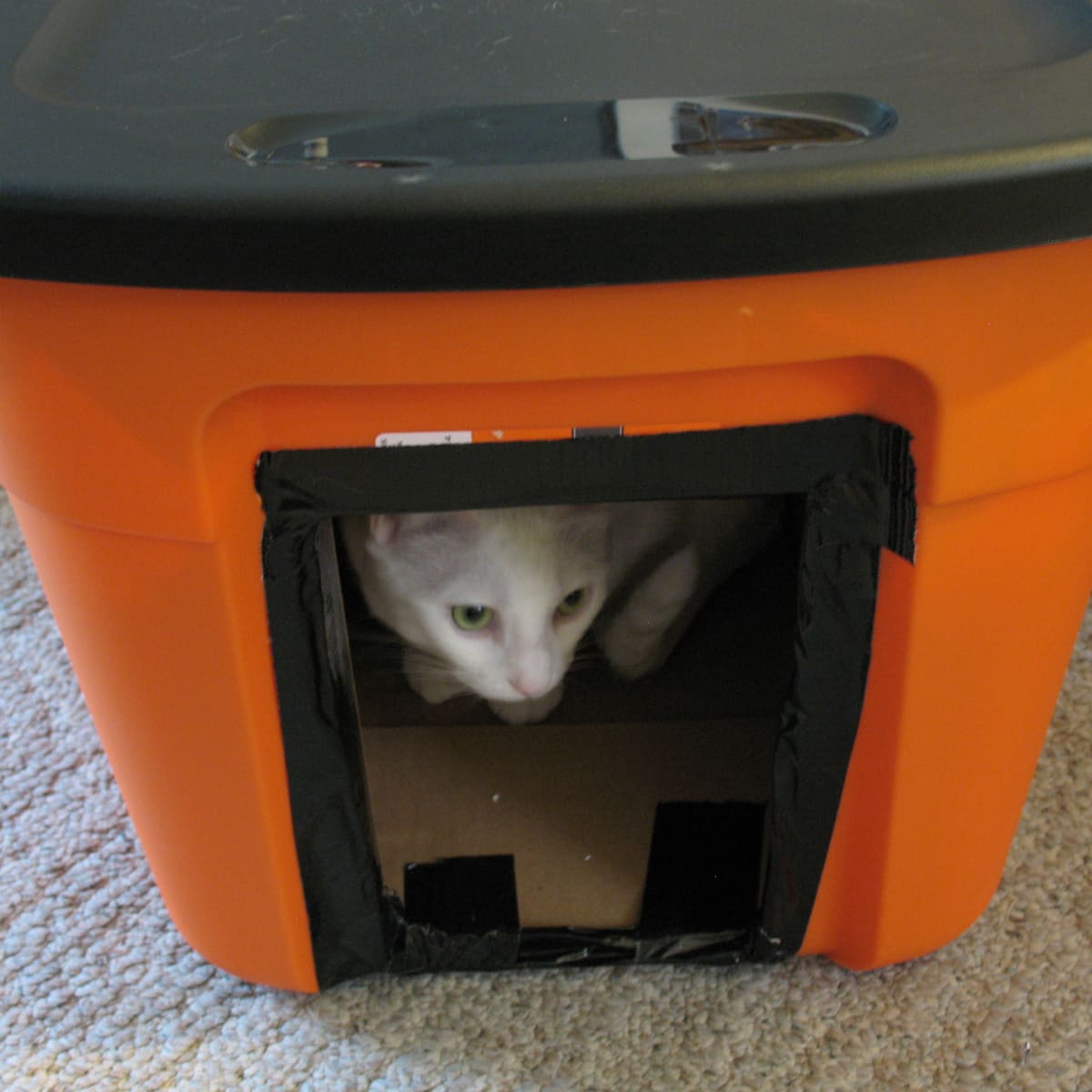 Diy feral winter cat shelter. Supplies: plastic tote, duct tape