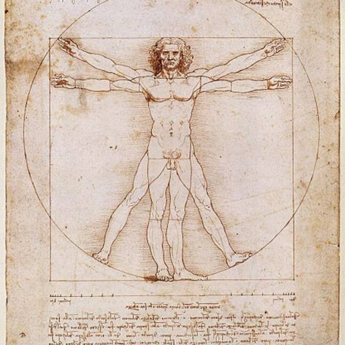 vitruvian man with 3 arms