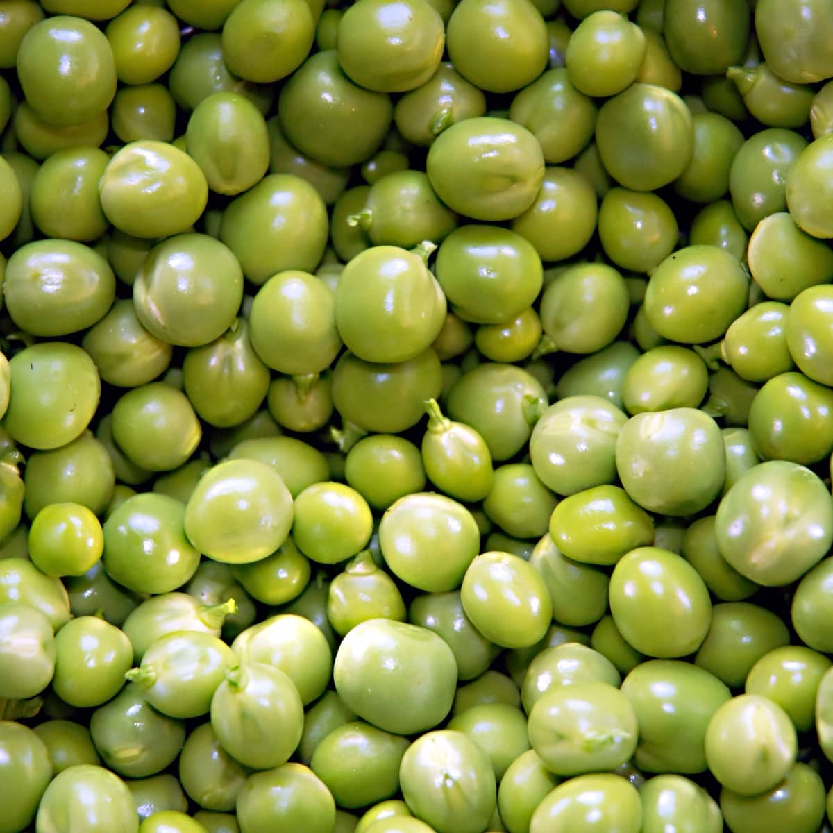 green peas images