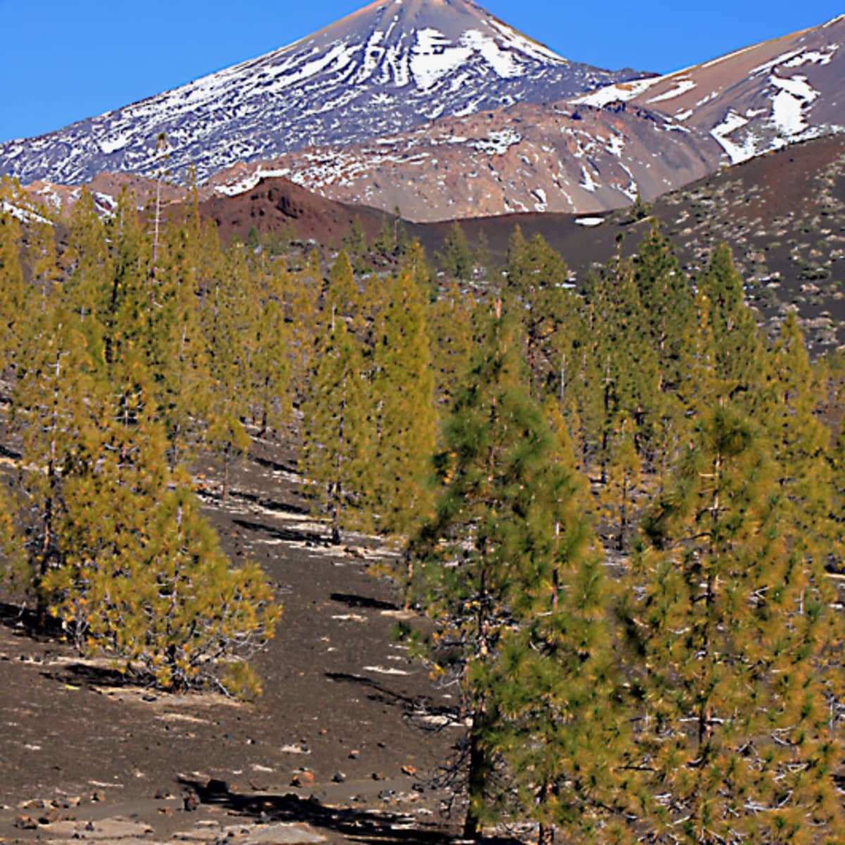 Tenerife Mount Teide National Park Wanderwisdom