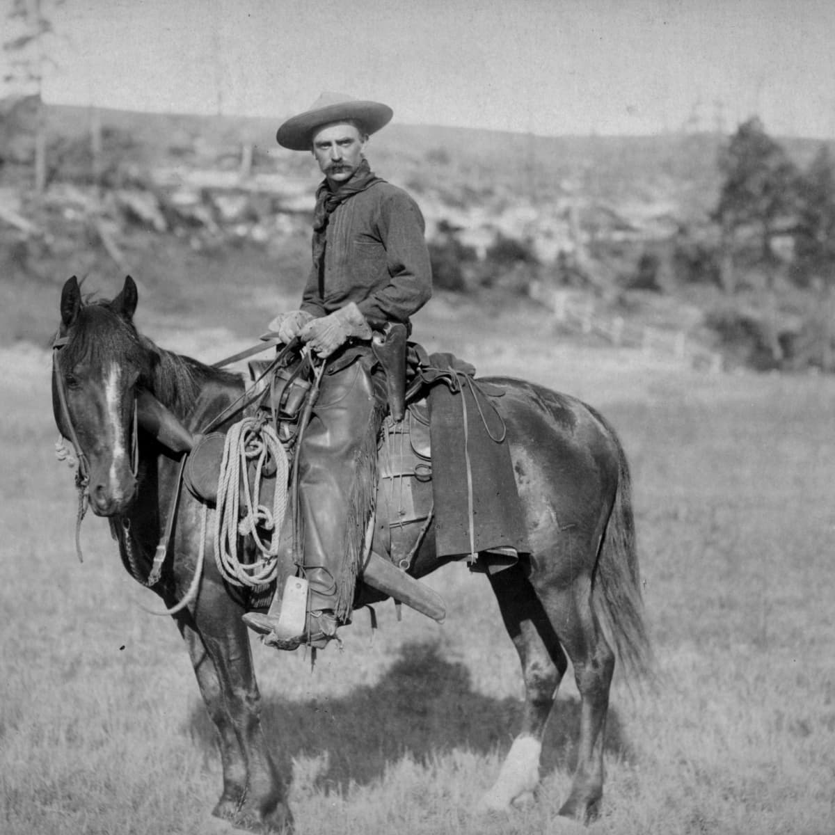Top 10 Interesting And Fun Facts About The Wild West And Cowboys Owlcation
