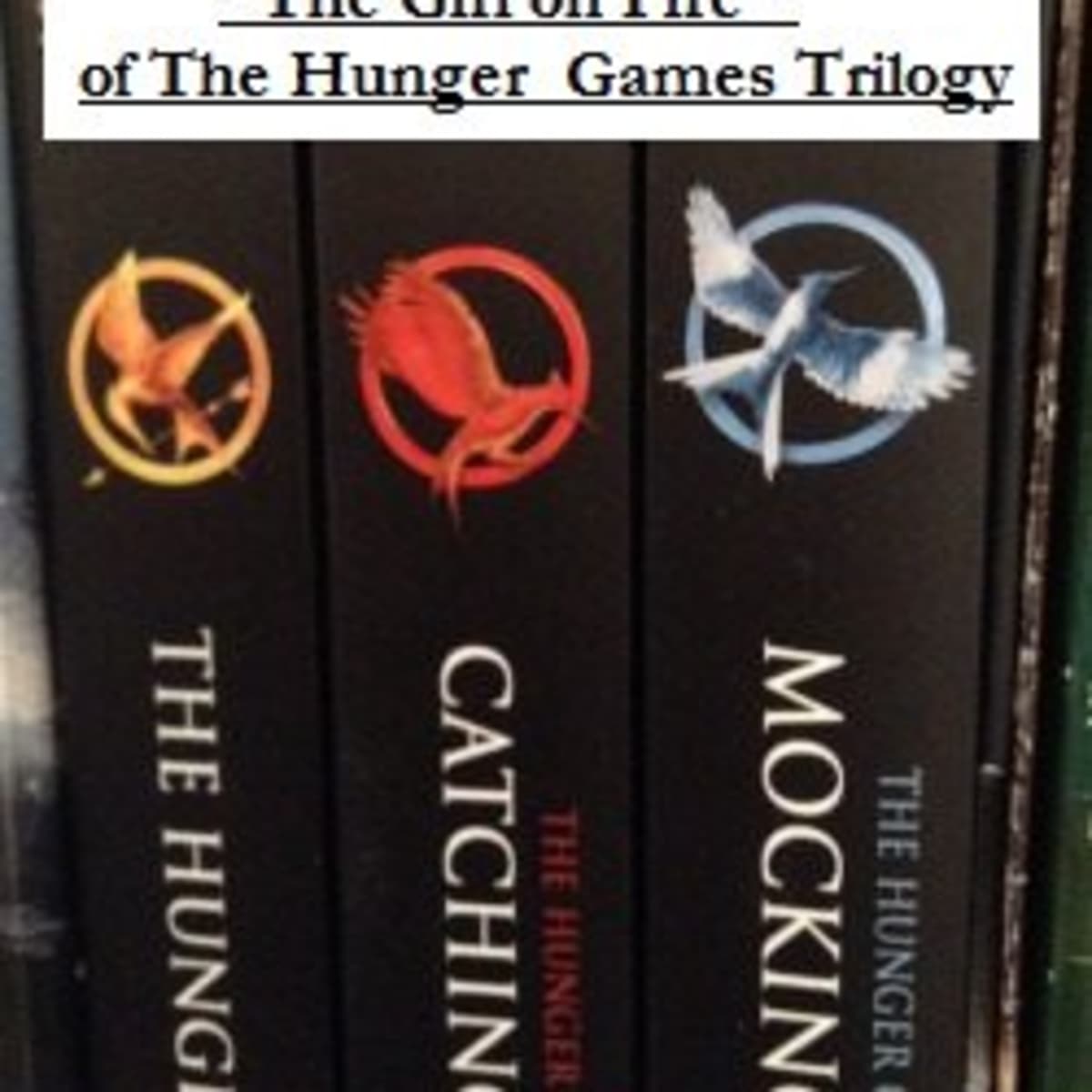 The Hunger Games: Things That Happened Before The Books