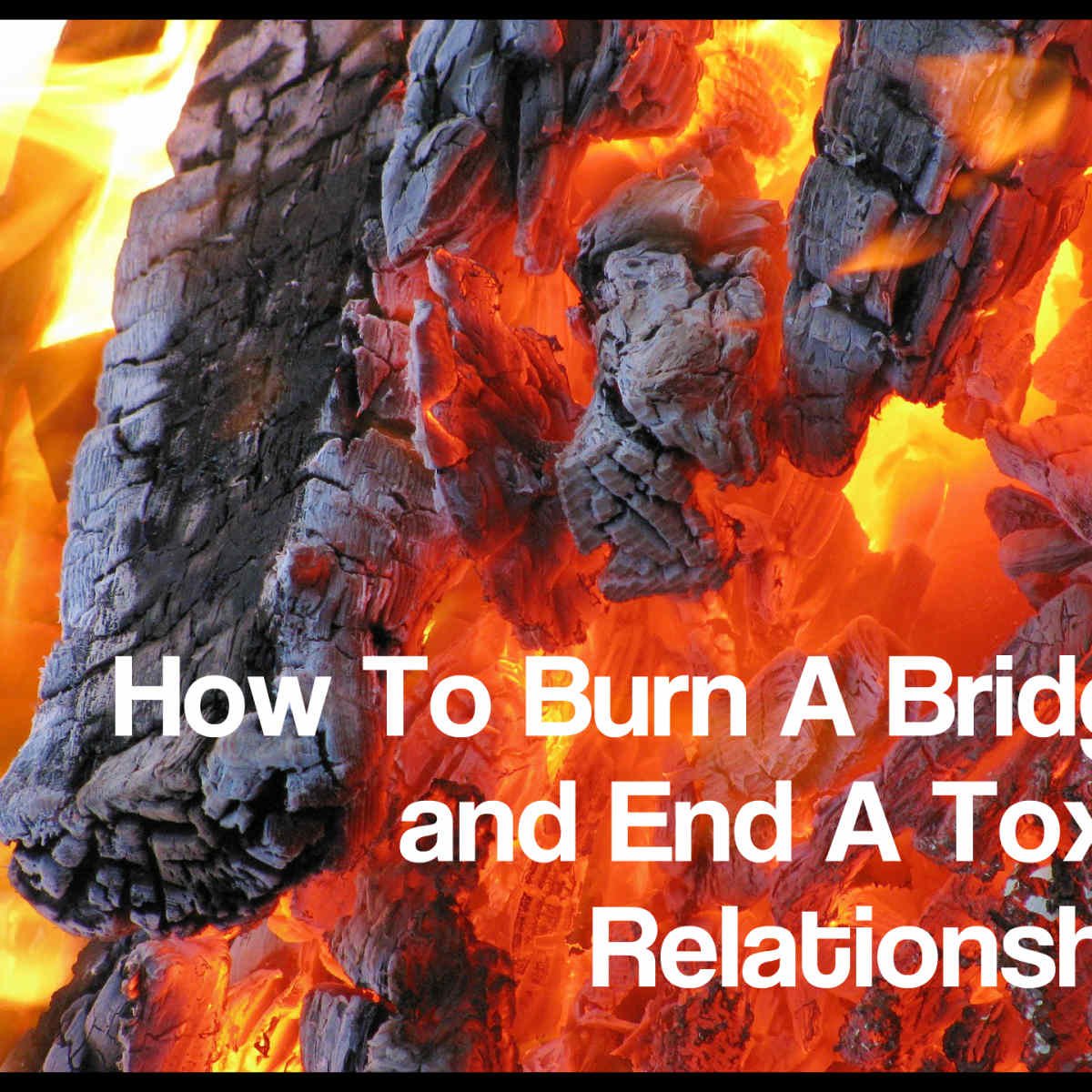 wayslife flea collar