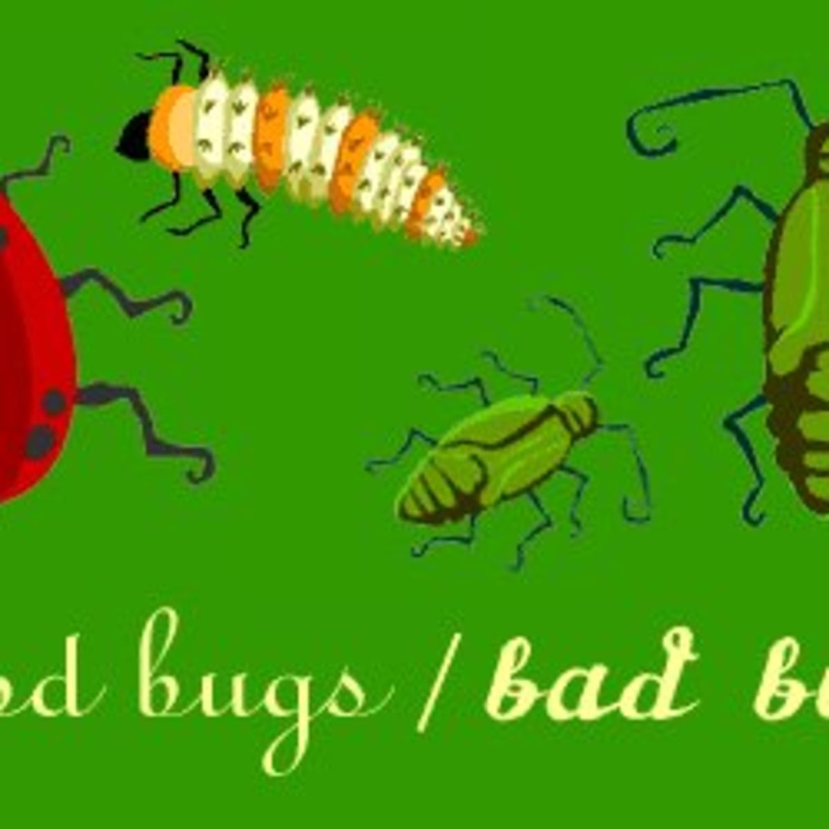 Good Vs Bad Bugs In Your Garden Dengarden Home And Garden