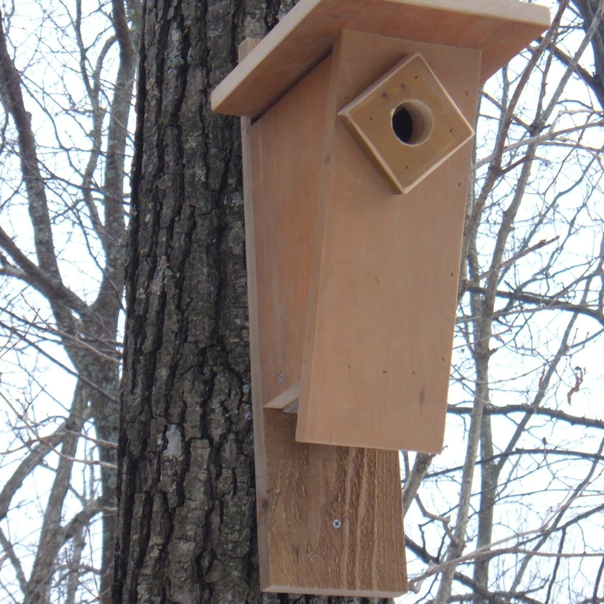 Bluebird Birdhouse Plans: How to Build a Peterson Slant-Front Style Bluebird  House - FeltMagnet