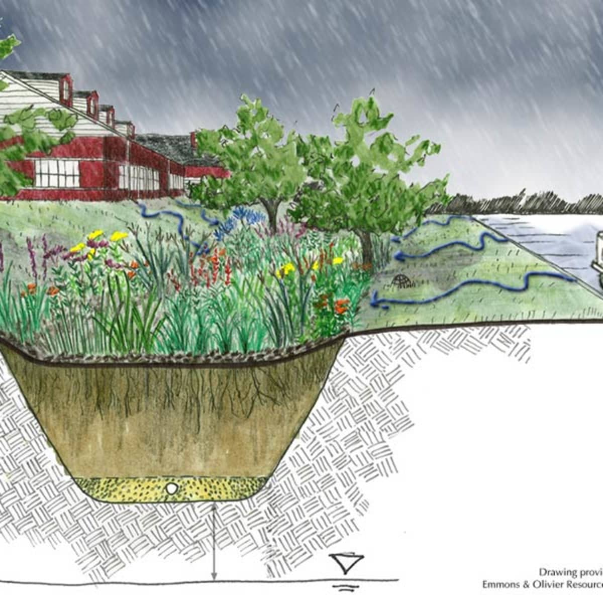 How Rain Gardens Complement Climate Victory Gardens - Dengarden
